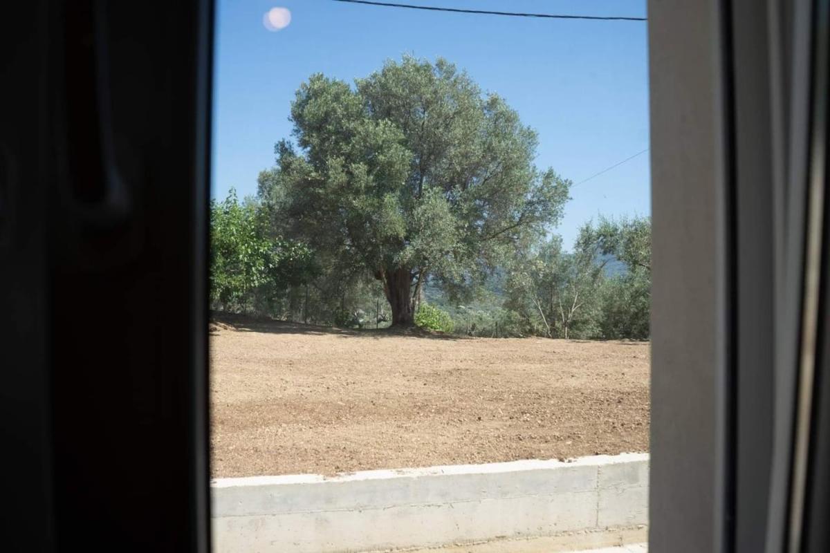 Catherine'S House إيغومينيتسا المظهر الخارجي الصورة